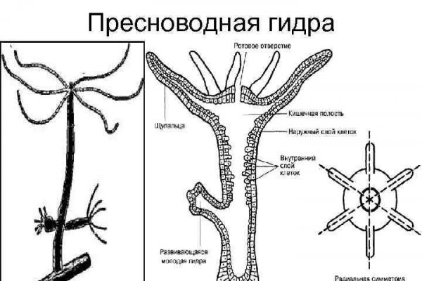 Омг омг gl